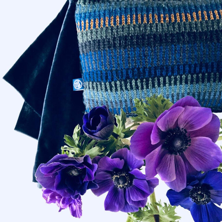 anémones violettes