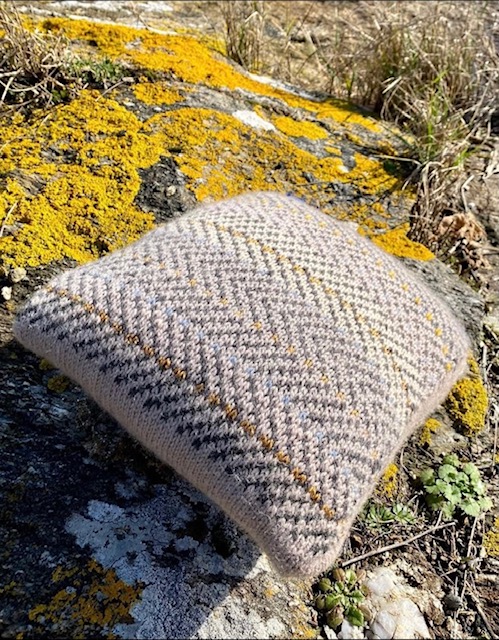 coussins lichen